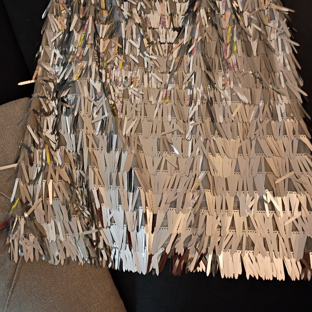 ENDLESS ROSE SILVER METALLIC FRINGE MIDI SKIRT NWT SZ Medium - Picture 8 of 10